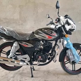 Fekon FK200-14G 2026