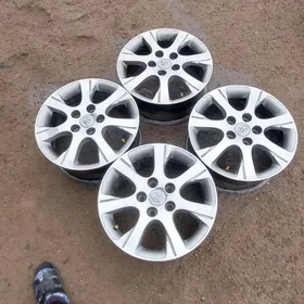 duty kemri bakin disga R16