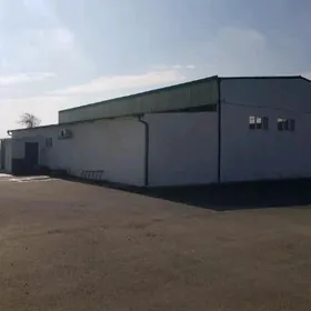 Satlyk Pameseniye ANEW Opytnyy