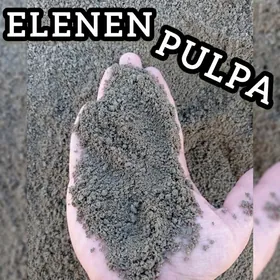 MITI PULPA NULYOWKA MYTY TOYUN