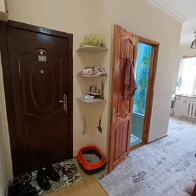 Хозяин, 1 ком, eýesi