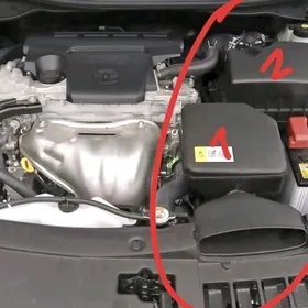 Wozduh bocok we cobra morda