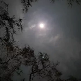 Gökdepe satlyk Ajy kariz