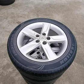 17 palta disga pakrysga