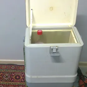 holodilnik dlya masiny   12 wolt