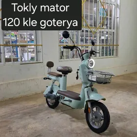 TOKLY TIGIR SAMAKAT BMW MERSED