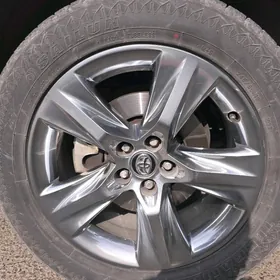 Haylander diska 2018 limited