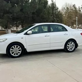 Toyota Corolla 2010