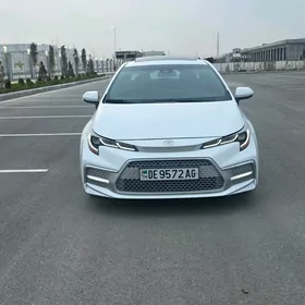 Toyota Corolla 2020