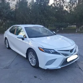 Toyota Camry 2020