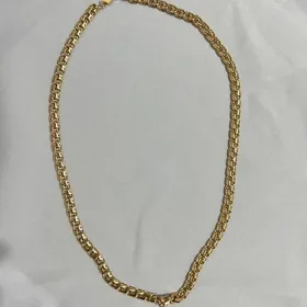 Kardinal gadymy gyzy