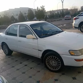 Toyota Corolla 1995