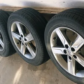 17 palta s klas disga pokryşga