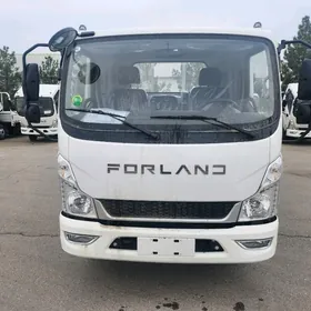 Forland H2 2025