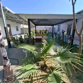 PLAN JAÝ. ÇOGANLY TAÝYN JAÝ