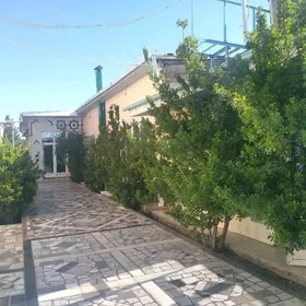 Çoganly kotej cep tarap