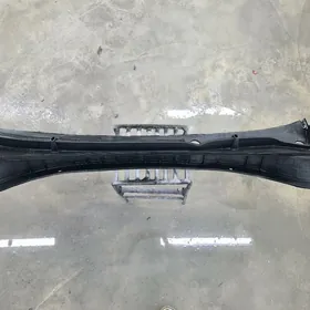 Elantra dwornik plasmas