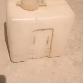 Lada aýna suw sepýän