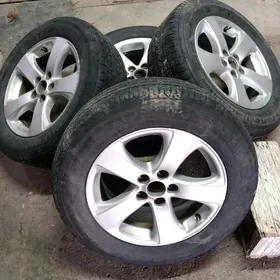 SIYENA-2019 DISKA pokryska