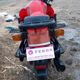 Fekon FK150-8G 2013