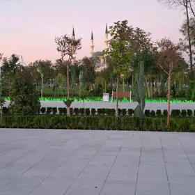 ВОДИТЕЛЬ НУЖНА