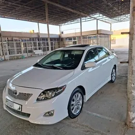 Toyota Corolla 2010