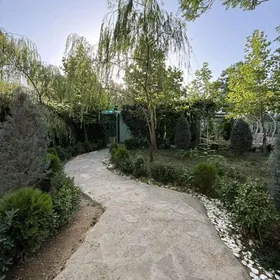 Arenda Buzmeyin jemagat