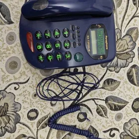 domasny telefon