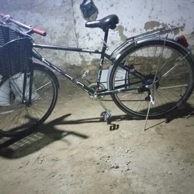 Ariginal Yaponwelik 28