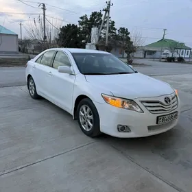 Toyota Camry 2010
