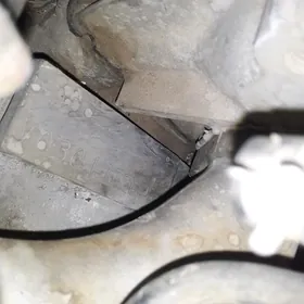 Максима Матор 2.5