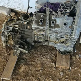 nissan maxima mator karopga