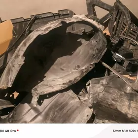 Patkrylnyk zasita arginal