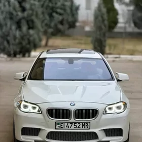 BMW F10 2010