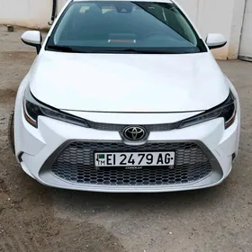 Toyota Corolla 2019