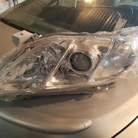 2008 okuz kelle haliji fara