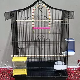 Guş ketek Kletka Popugaý Korel