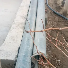 turba asikawnu 159 lyk