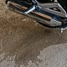 Zawaskoy fekon gulsitr