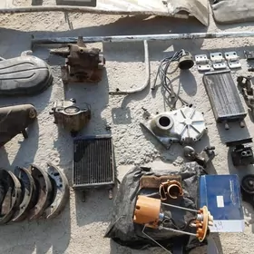 Gazel Zapjas газель