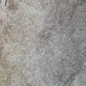 Üwelen gamyşly saman