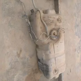 kiya piridan zapjaslary