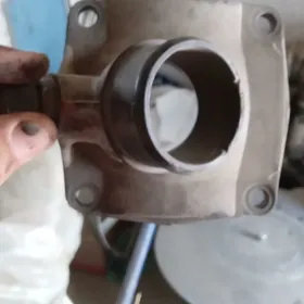 Maz taplewennik kriska