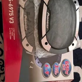 Pioner  kalonka Setkasy