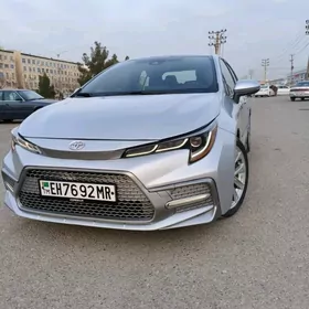 Toyota Corolla 2021