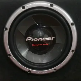 Sambufer bocga pioneer