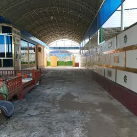 Bagyr mirewe satlyk jay