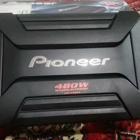 Usulitel pioneer arg