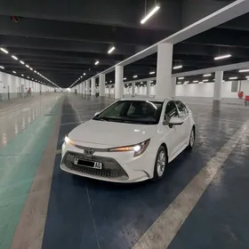 Toyota Corolla 2020
