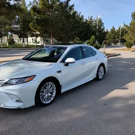 Toyota Camry 2019